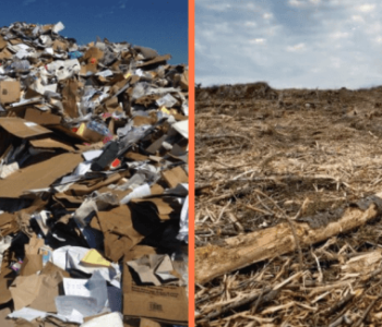 Paper Waste and Deforestation