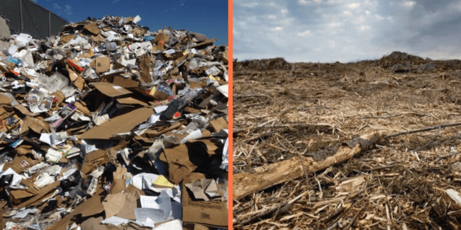Paper Waste and Deforestation